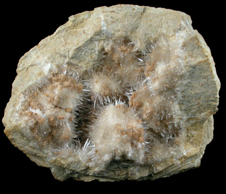 Kutnohorite and Aragonite from Levane, Val D'Arno, Tuscany, Italy