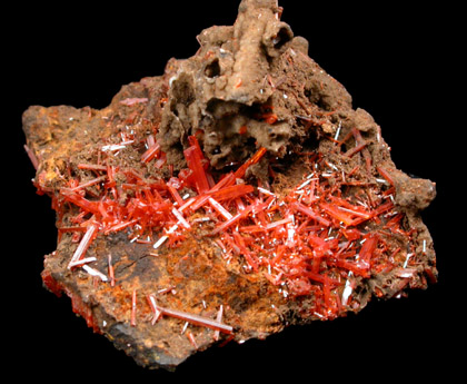 Crocoite from Dundas, Tasmania, Australia