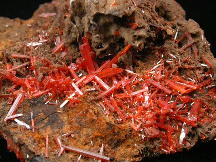 Crocoite from Dundas, Tasmania, Australia