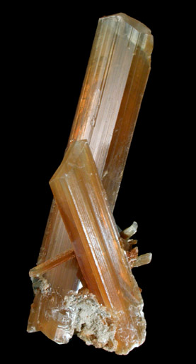 Gypsum var. Selenite from Naica District, Saucillo, Chihuahua, Mexico