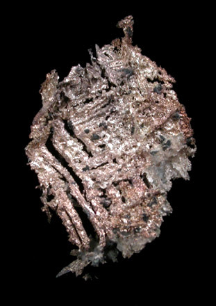 Silver from Andres del Rio District, Batopilas, Chihuahua, Mexico