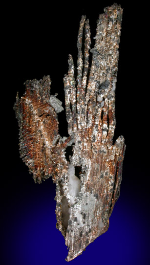 Silver from Andres del Rio District, Batopilas, Chihuahua, Mexico