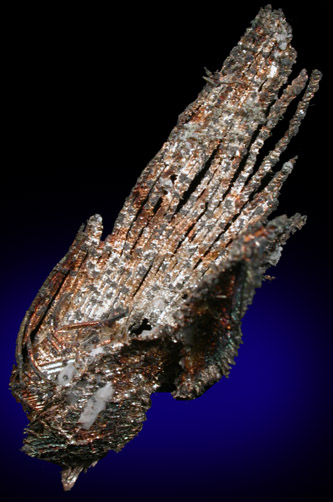 Silver from Andres del Rio District, Batopilas, Chihuahua, Mexico