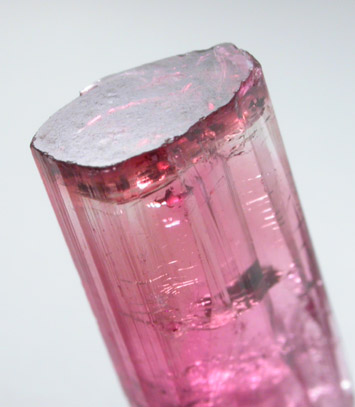 Elbaite var. Rubellite Tourmaline from Minas Gerais, Brazil