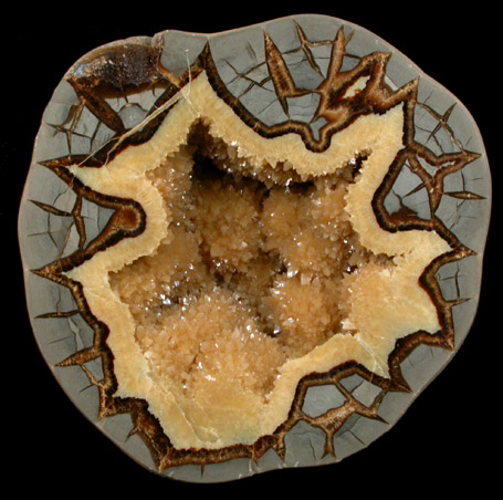 Calcite var. Septarian Nodule from South Dakota