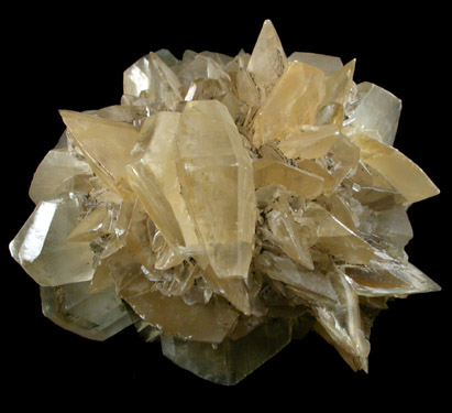 Gypsum var. Selenite from Red River Floodway, Winnipeg, Manitoba, Canada