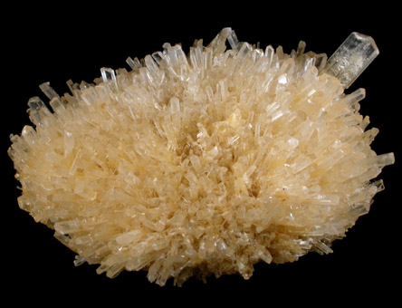 Gypsum var. Selenite from Lake Gilles, Corunna Station, South Australia, Australia