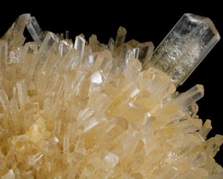 Gypsum var. Selenite from Lake Gilles, Corunna Station, South Australia, Australia