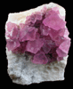 Fluorite on Quartz from Mina Navidad, 19 km northwest of Abasolo, Durango, Mexico