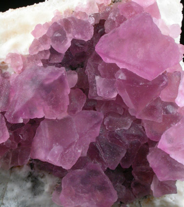 Fluorite on Quartz from Mina Navidad, 19 km northwest of Abasolo, Durango, Mexico