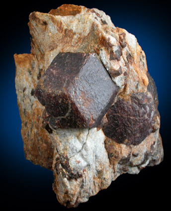 Almandine Garnet with Staurolite from Green's Farm, 750 m. ESE of Roxbury Falls, Roxbury, New Haven County, Connecticut