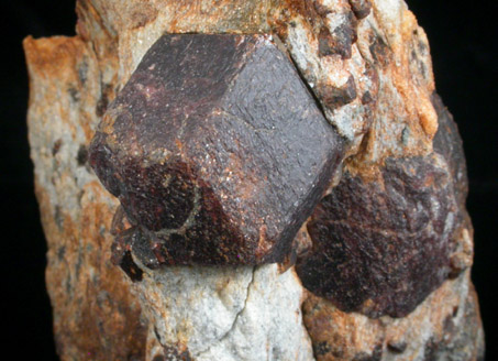 Almandine Garnet with Staurolite from Green's Farm, 750 m. ESE of Roxbury Falls, Roxbury, New Haven County, Connecticut