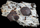 Almandine Garnet with Staurolite from Green's Farm, 750 m. ESE of Roxbury Falls, Roxbury, New Haven County, Connecticut