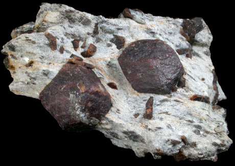 Almandine Garnet with Staurolite from Green's Farm, 750 m. ESE of Roxbury Falls, Roxbury, New Haven County, Connecticut