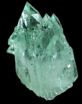 Apophyllite from Pashan Hill Quarry, Poona District, Maharashtra, India