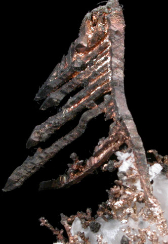 Silver from Andres del Rio District, Batopilas, Chihuahua, Mexico