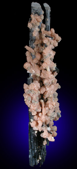 Aegirine, Serandite, Genthelvite from Mont Saint-Hilaire, Qubec, Canada