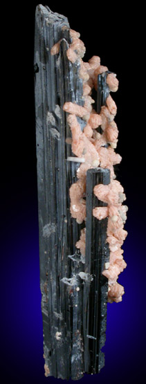 Aegirine, Serandite, Genthelvite from Mont Saint-Hilaire, Qubec, Canada