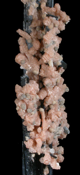 Aegirine, Serandite, Genthelvite from Mont Saint-Hilaire, Qubec, Canada