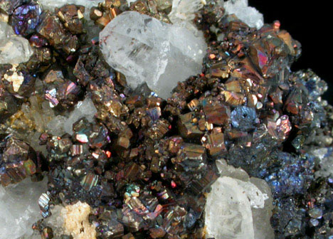 Pyrite and Quartz from Butte Mining District, Summit Valley, Silver Bow County, Montana