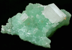 Hydroxyapophyllite-(K) (formerly apophyllite-(KOH)) on Prehnite from Loudon County, Virginia