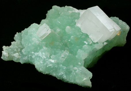 Hydroxyapophyllite-(K) (formerly apophyllite-(KOH)) on Prehnite from Loudon County, Virginia