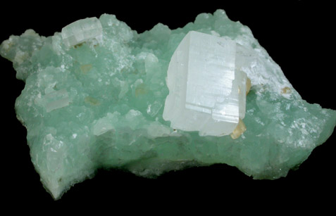Hydroxyapophyllite-(K) (formerly apophyllite-(KOH)) on Prehnite from Loudon County, Virginia