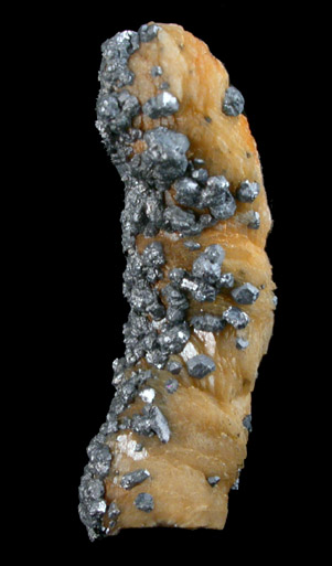 Galena on Siderite stalactite from White Raven Mine, Ward District, California Gulch, Boulder County, Colorado