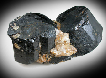 Schorl Tourmaline from (Rice Mine), Groton Township, Grafton County, New Hampshire