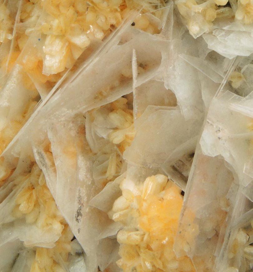 Stilbite-Ca and Calcite from Water Tunnel No.3 under Roosevelt Island, New York City, New York County, New York