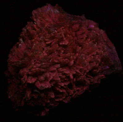 Celestine from Put-in-Bay (Strontian Island, Lake Erie), Ottawa County, Ohio