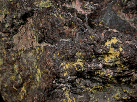 Zircon var. Cyrtolite from Kinkel Quarry, Bedford, Westchester County, New York