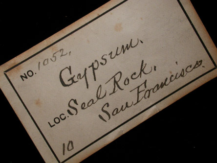 Gypsum from Seal Rock, San Francisco, California