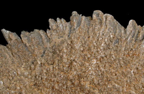 Gypsum from Seal Rock, San Francisco, California