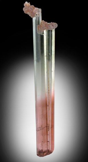 Elbaite Tourmaline with Lepidolite from Himalaya Mine, Mesa Grande District, San Diego County, California