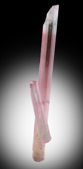 Elbaite var. Rubellite Tourmaline from Himalaya Mine, Mesa Grande District, San Diego County, California