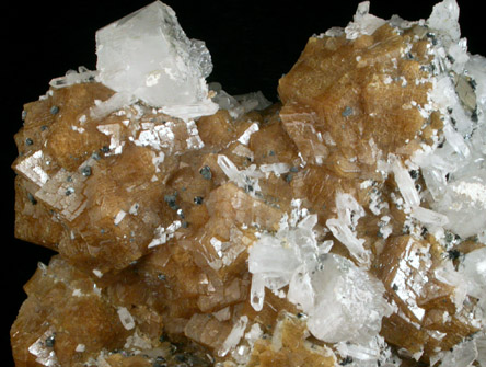 Andradite Garnet, Calcite, Quartz, Pyrite, Sphalerite from (San Antonio Mine?), Chihuahua, Mexico