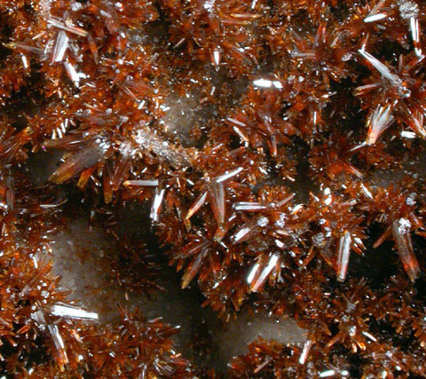 Vanadinite var. Endlichite from Ahumada Mine, Sierra de Los Lamentos, Chihuahua, Mexico