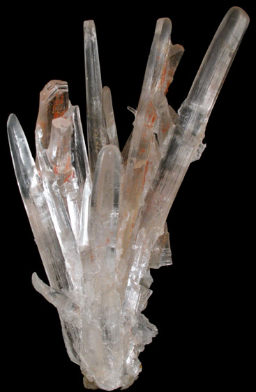 Gypsum var. Selenite from Cave of Swords, Naica District, Saucillo, Chihuahua, Mexico