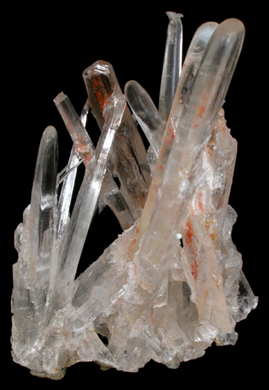 Gypsum var. Selenite from Cave of Swords, Naica District, Saucillo, Chihuahua, Mexico