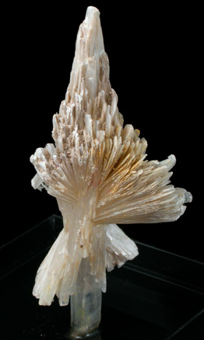 Gypsum var. Selenite from Villeneuve, near Paris, France