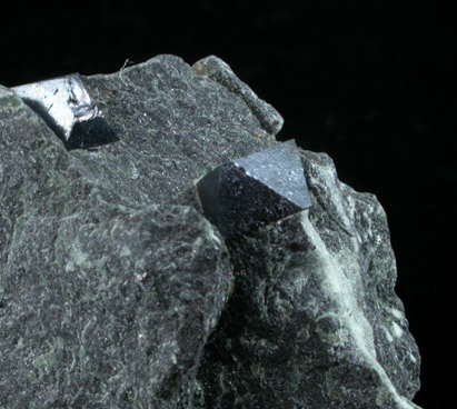 Magnetite in Chlorite from Zillertal, Tyrol, Austria