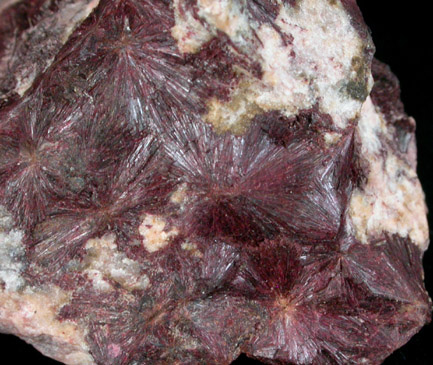 Erythrite from Sachsen (Saxony), Germany