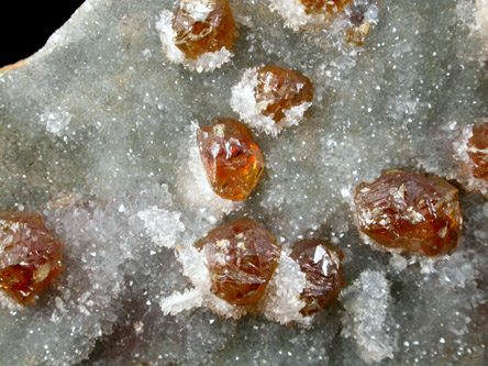 Sphalerite and Quartz from Bansk Stiavnica (Schemnitz), Bansk Bystrica, Stiavnicke Mountains, Slovak Republic (Slovakia)