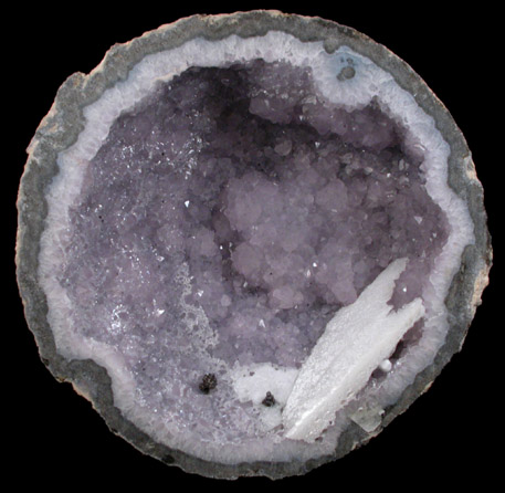 Quartz var. Amethyst Geode from Las Choyas, Chihuahua, Mexico