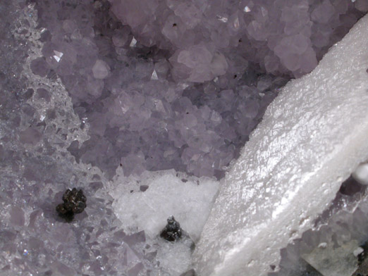 Quartz var. Amethyst Geode from Las Choyas, Chihuahua, Mexico