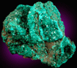 Dioptase from Reneville, Kindanba District, Pool Department, Republic of Congo