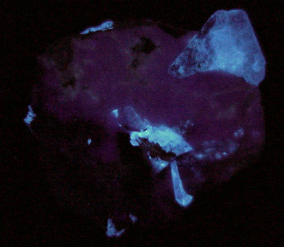 Benitoite from Benitoite Gem Mine, New Idria District, San Benito County, California (Type Locality for Benitoite)