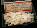 Asbestos from Chester County, Pennsylvania