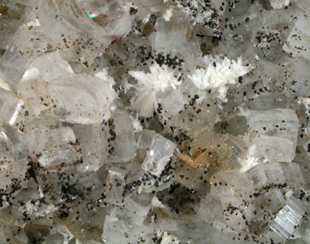 Apophyllite, Laumontite, Datolite from Bergen Hill, Hudson County, New Jersey